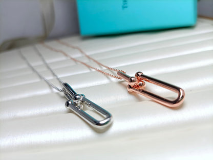 [Hevara Jewelry]HARDWEAR DROP DOUBLE LINK PEDANT NECKLACE