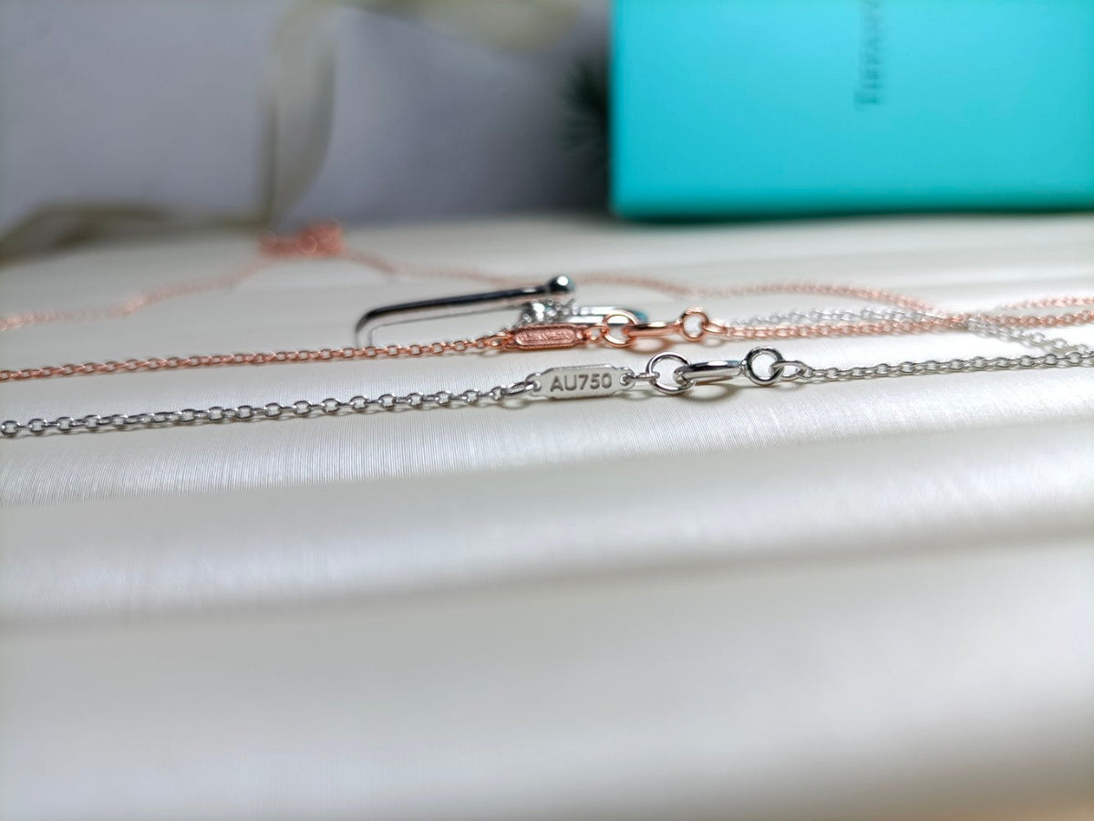 [Hevara Jewelry]HARDWEAR DROP DOUBLE LINK PEDANT NECKLACE