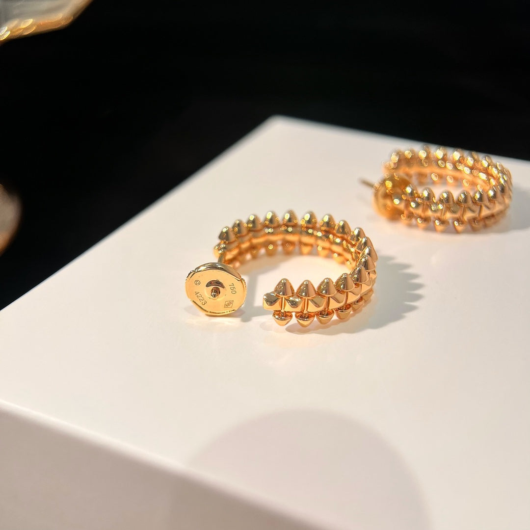 [⭐Hevara Jewelry]CLASH EARRINGS