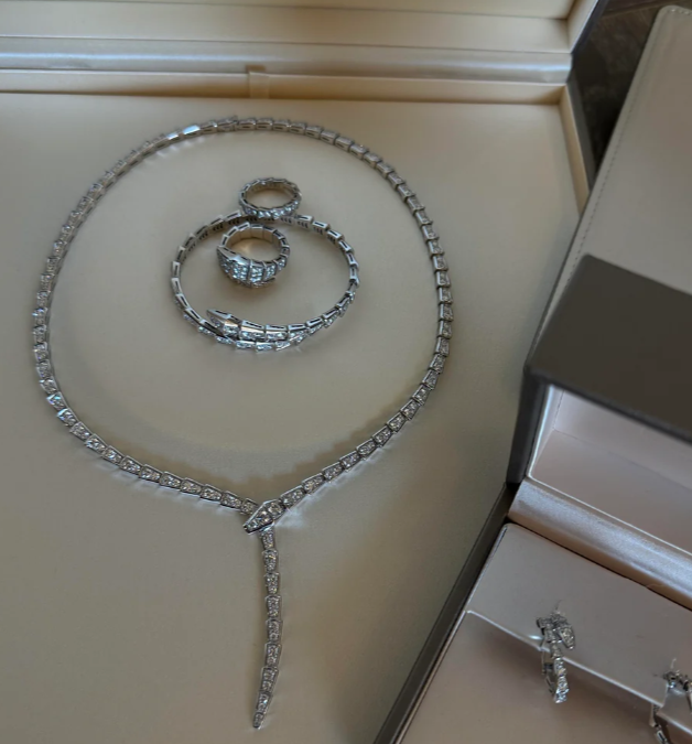 [⭐Hevara Jewelry]NEW！SERPENT DIAMOND NECKLACE