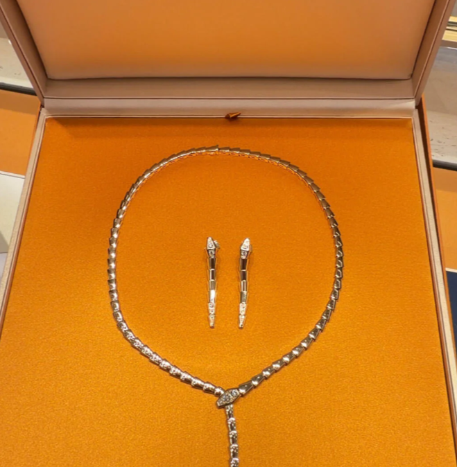 [⭐Hevara Jewelry]NEW！SERPENT DIAMOND NECKLACE
