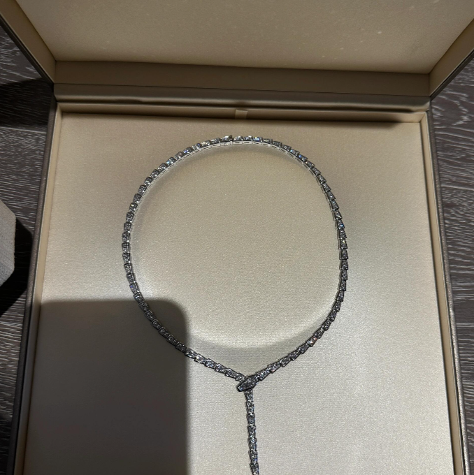 [⭐Hevara Jewelry]NEW！SERPENT DIAMOND NECKLACE