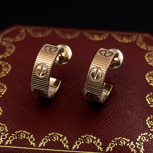 [⭐Hevara Jewelry] 2026 NEW LOVE UNLIMITED EARRINGS