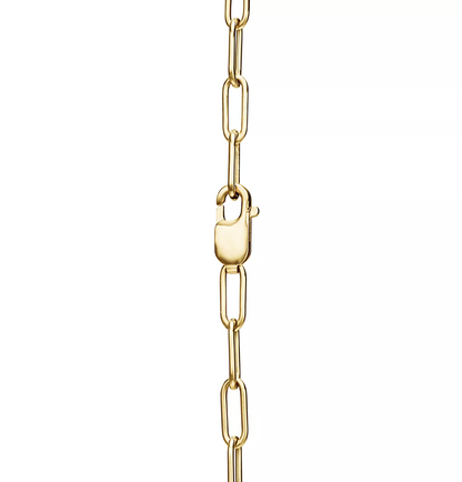 [Hevara Jewelry]LOCK NECKLACE GOLD
